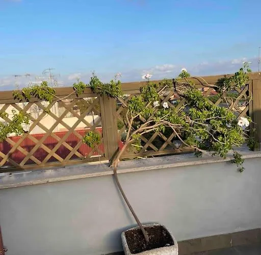 Terrazza Talenti *