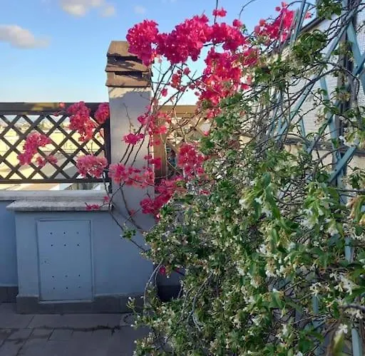 Terrazza Talenti Appartamento