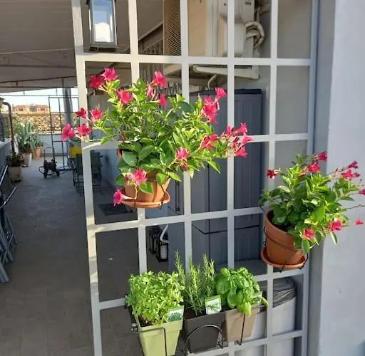 Appartamento Terrazza Talenti Roma